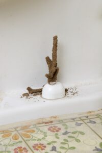 Mud tunnels created by termites on the white bathroom surface