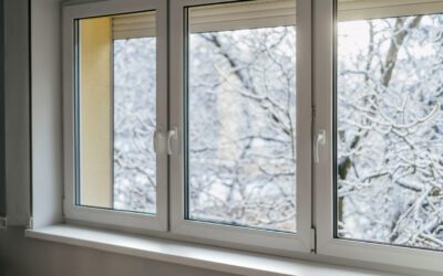 The Winter Pests No One Talks About (But Everyone Finds)