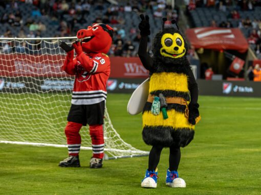 Zippy the Honey bee and Hammy Hog stand on a soccer field near a goal, with spectators in the stadium seats behind them.