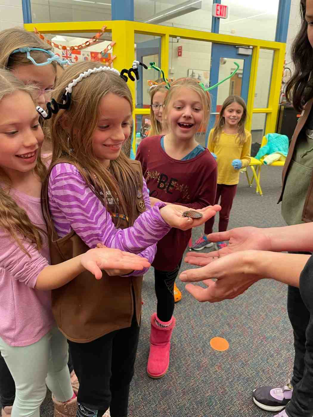 Children Observing Insect Children observing an insect in their hands during a classroom activity with teacher guidance